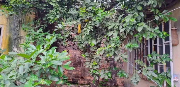 Loja / Salão / Ponto Comercial com 3 Quartos à venda, 113m² no Jardim América, Uberaba