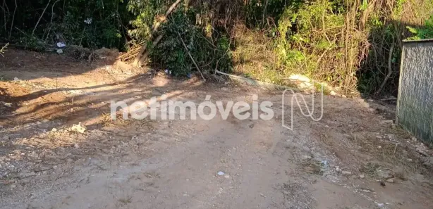 Terreno / Lote Comercial à venda, 337m² no Califórnia, Florestal