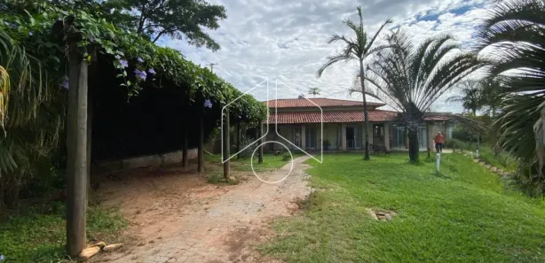 Fazenda / Sítio / Chácara com 4 Quartos para alugar, 300m² no Sítios de Recreio Santa Rosa (Padre Nóbrega), Marília