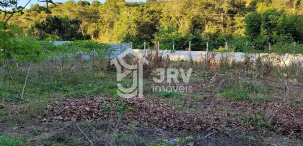 Fazenda / Sítio / Chácara com 4 Quartos à venda, 6250m² no Área Rural de Novo Gama, Novo Gama