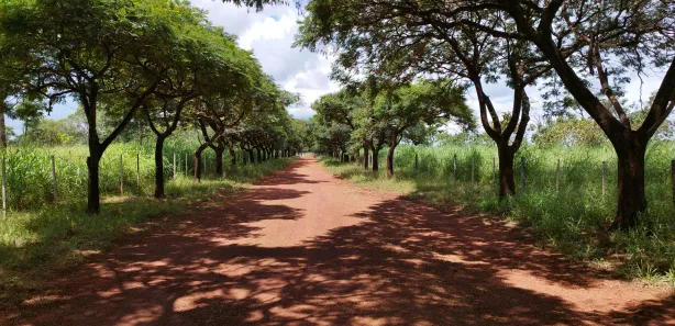 Fazenda / Sítio / Chácara à venda, 20000m² no , Brasília