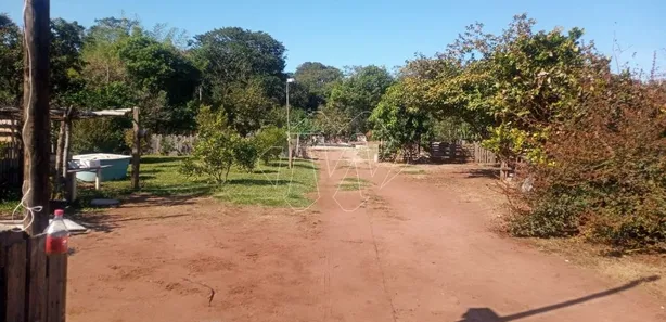 Fazenda / Sítio / Chácara com 4 Quartos à venda, 172m² no Parque Residencial Iguatemi, Araraquara
