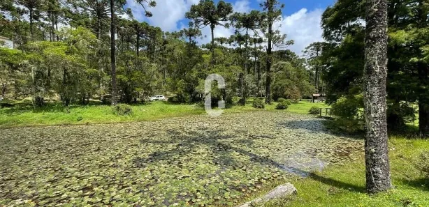 Casa de Condomínio com 5 Quartos para alugar, 500m² no , Campos do Jordão
