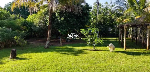 Fazenda / Sítio / Chácara com 3 Quartos para alugar, 300m² no Sítios de Recreio Letícia (Padre Nóbrega), Marília