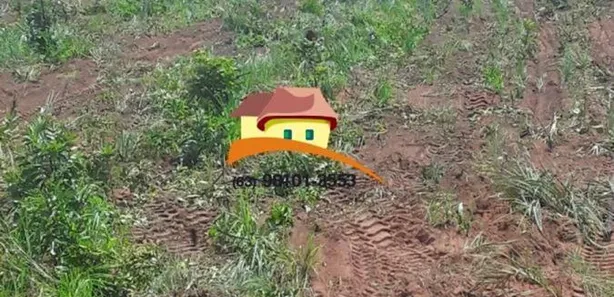 Fazenda / Sítio / Chácara à venda, 1m² no , Guaraí