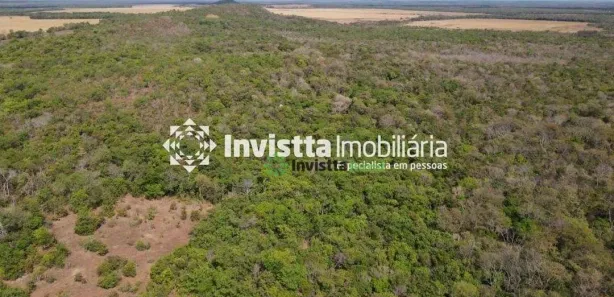 Fazenda / Sítio / Chácara à venda, 600m² no Centro, Lagoa da Confusão