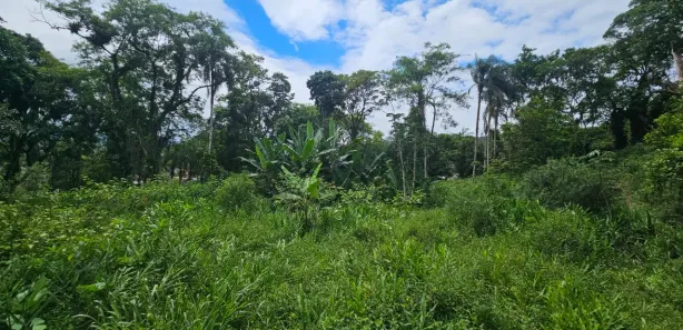Terreno / Lote / Condomínio à venda, 900m² no Antonina, Antonina