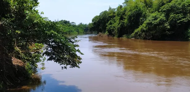 Fazenda / Sítio / Chácara com 3 Quartos à venda, 700000m² no , Anastácio