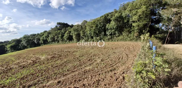 Fazenda / Sítio / Chácara à venda, 21917m² no , Contenda
