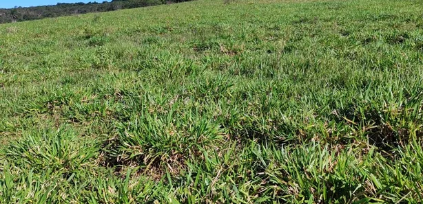 Fazenda / Sítio / Chácara com 4 Quartos à venda, 82m² no , Brejinho
