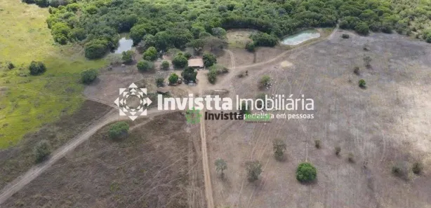 Fazenda / Sítio / Chácara à venda, 1250m² no Centro, Lagoa da Confusão