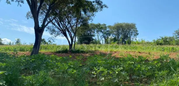 Fazenda / Sítio / Chácara à venda, 1m² no Gleba Destacada da Fazenda Santa Cruz, Jaguariúna