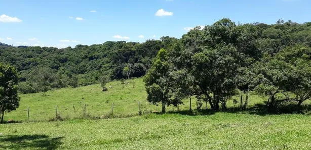 Fazenda / Sítio / Chácara à venda, 133100m² no , Vargem Grande Paulista