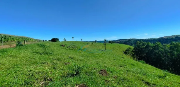 Fazenda / Sítio / Chácara à venda, 150m² no , Guaraniaçu