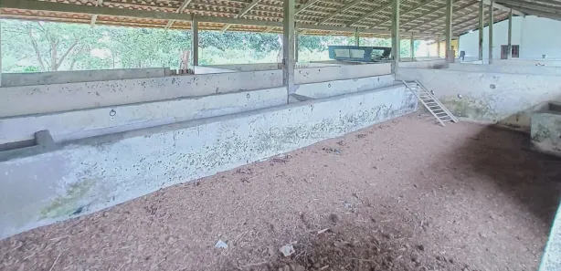 Fazenda / Sítio / Chácara com 11 Quartos à venda, 128519m² no , Pombos