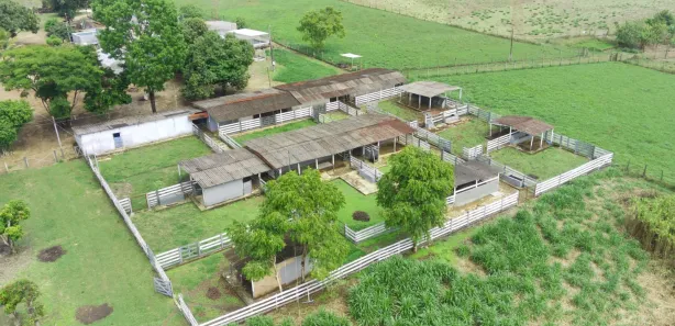 Fazenda / Sítio / Chácara com 4 Quartos à venda, 70000m² no Mansões de Recreio Estrela Dalva VII-A, Novo Gama