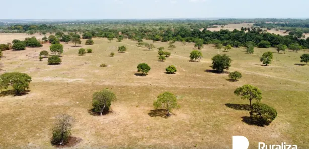Fazenda / Sítio / Chácara à venda, 953m² no Setor Central, Divinópolis do Tocantins