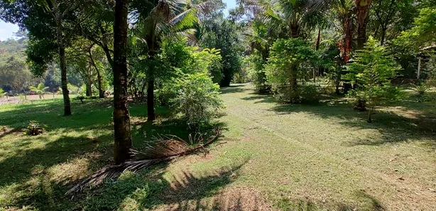 Fazenda / Sítio / Chácara com 2 Quartos à venda, 22000m² no Nossa Senhora do Amparo, Barra Mansa