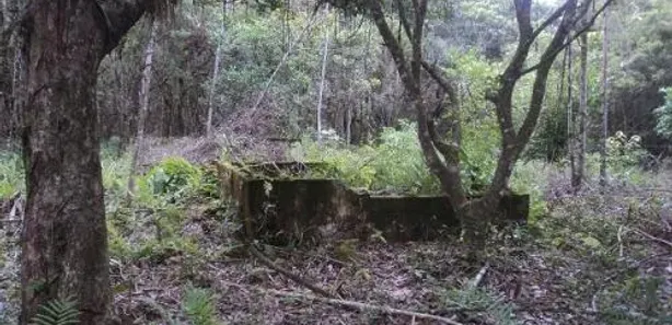 Fazenda / Sítio / Chácara à venda, 14000m² no Gaivota, Itanhaém