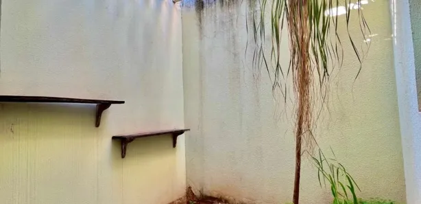 Casa de Vila com 2 Quartos à venda, 123m² no Parque Residencial Universo, São José do Rio Preto