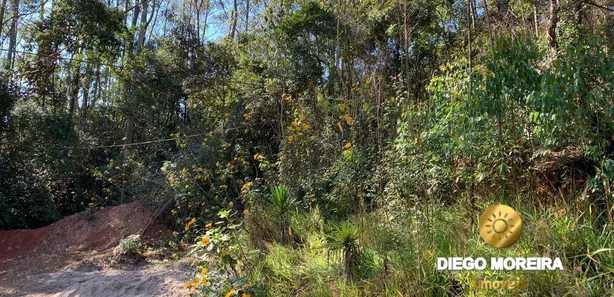 Terreno / Lote / Condomínio à venda, 693m² no Mantiqueira, Mairiporã