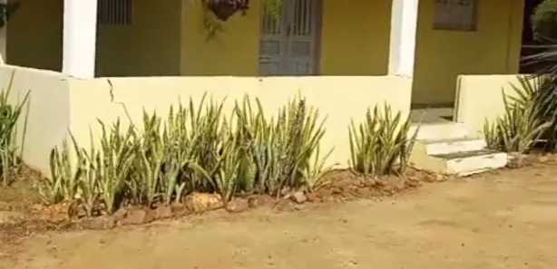 Fazenda / Sítio / Chácara com 4 Quartos à venda, 150000m² no , Feira Nova