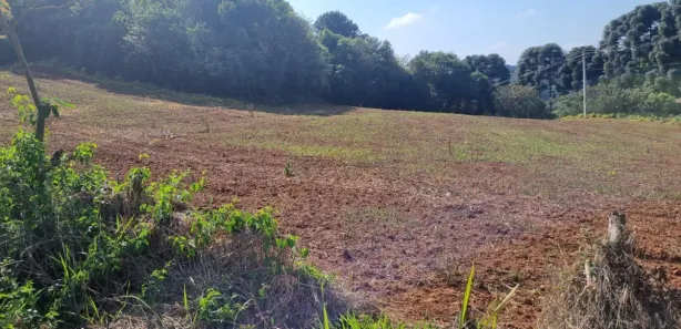 Terreno / Lote / Condomínio à venda, 60617m² no Cecilia, Campo Magro