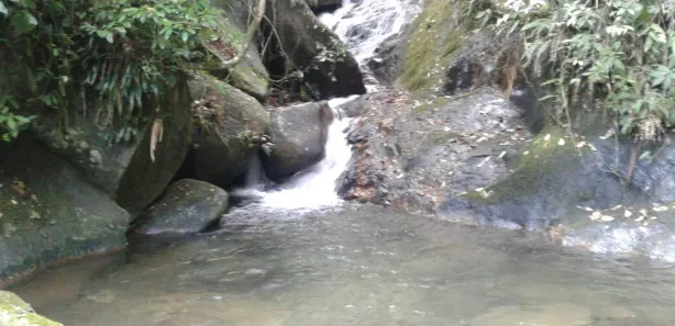 Fazenda / Sítio / Chácara com 1 Quarto à venda, 290000m² no , Rio Bonito