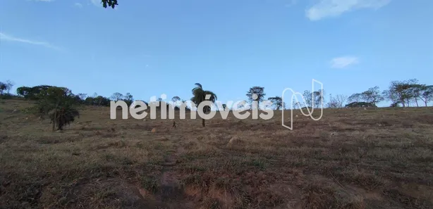 Fazenda / Sítio / Chácara à venda, 80000m² no , Florestal