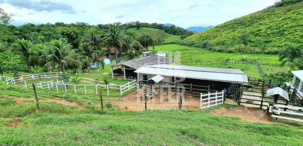 Fazenda / Sítio / Chácara com 3 Quartos à venda, 350m² no Funchal, Cachoeiras de Macacu