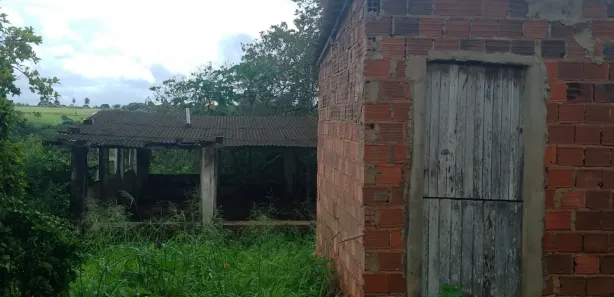 Fazenda / Sítio / Chácara com 4 Quartos à venda, 40000m² no , Feira Nova