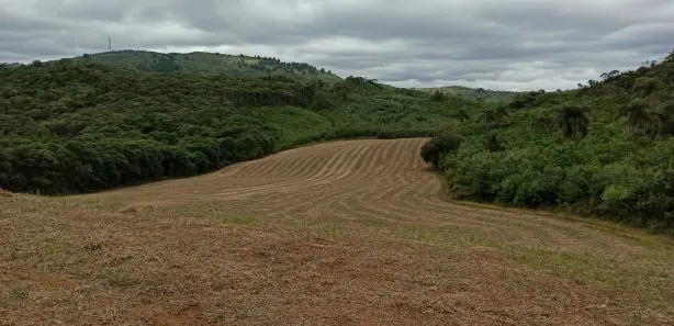 Fazenda / Sítio / Chácara à venda, 95465m² no Morro Azul, Almirante Tamandaré