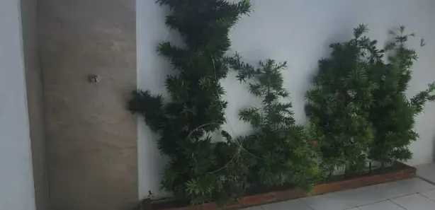 Casa com 3 Quartos à venda, 162m² no Farolândia, Aracaju