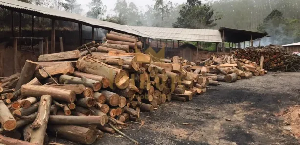 Fazenda / Sítio / Chácara com 2 Quartos à venda, 76600m² no , Pilar do Sul