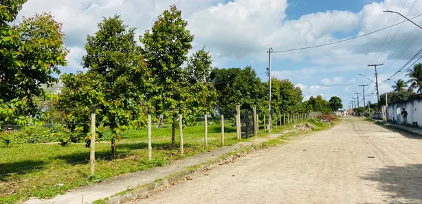 Fazenda / Sítio / Chácara com 5 Quartos à venda, 20m² no Centro, Conceição da Feira