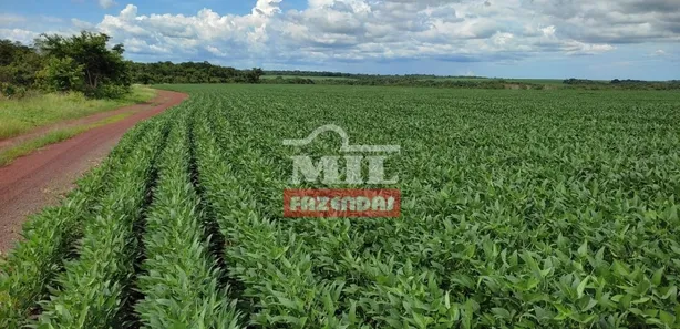 Fazenda / Sítio / Chácara à venda, 2444m² no , Santa Maria do Tocantins