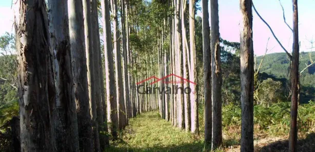 Fazenda / Sítio / Chácara com 5 Quartos à venda, 200m² no , Igaratá