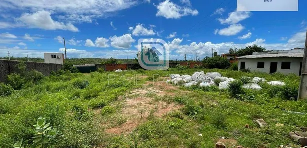 Terreno / Lote / Condomínio para alugar, 6460m² no Timbu, Eusébio