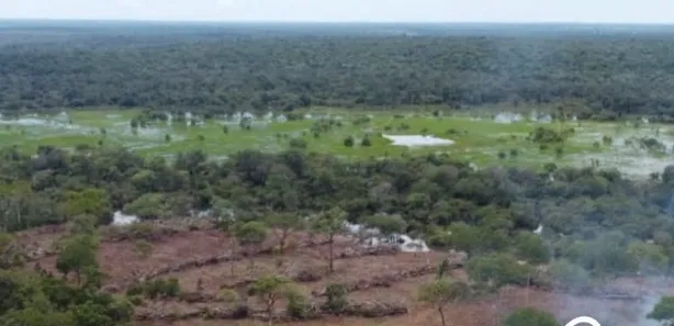 Fazenda / Sítio / Chácara à venda no , Lagoa da Confusão