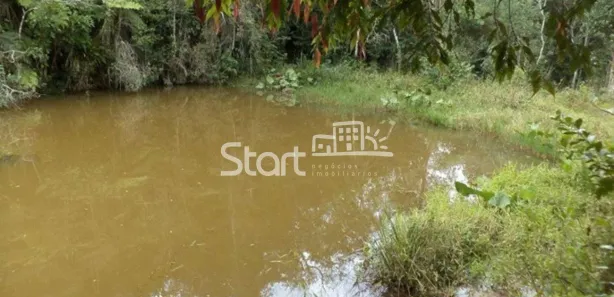 Fazenda / Sítio / Chácara com 5 Quartos à venda, 200m² no , Pilar do Sul
