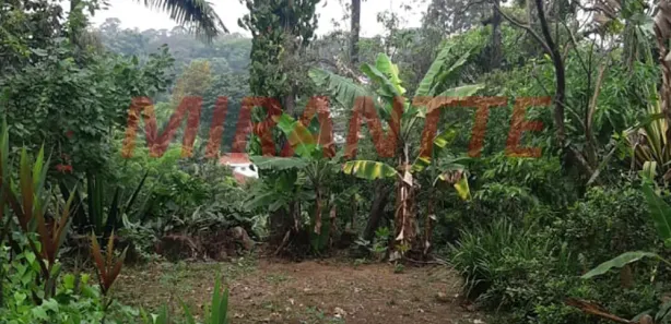 Terreno / Lote / Condomínio à venda, 1080m² no Vila Albertina, São Paulo
