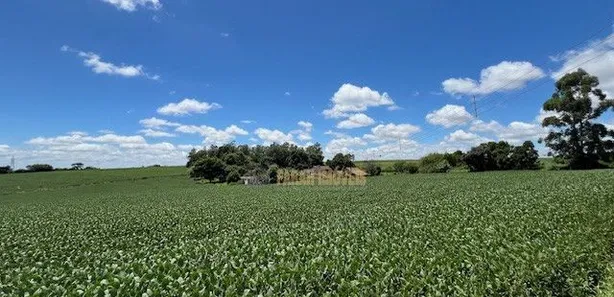 Fazenda / Sítio / Chácara com 6 Quartos à venda, 4m² no Parque Industrial José Garcia Gimenes, Cambé