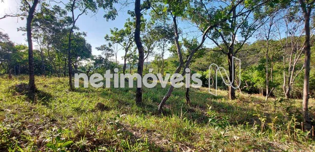 Fazenda / Sítio / Chácara à venda, 154373m² no Área Rural de Santa Luzia, Santa Luzia