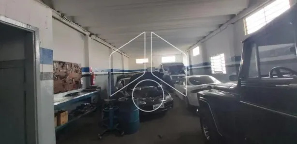 Galpão / Depósito / Armazém à venda, 380m² no Palmital, Marília