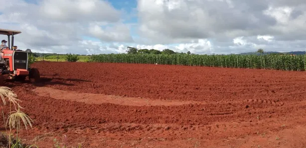 Fazenda / Sítio / Chácara à venda, 2000m² no Área Rural, Goianira