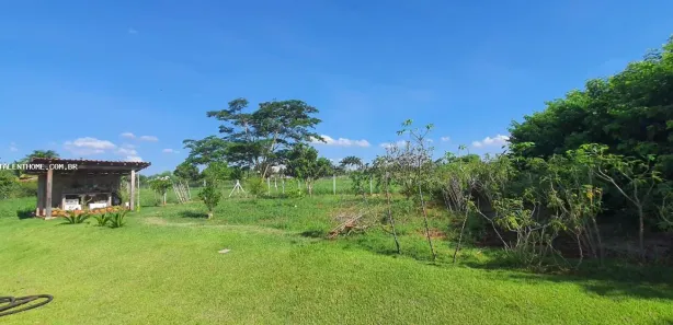Terreno / Lote Comercial à venda, 2032m² no , Sertanópolis