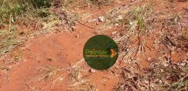 Fazenda / Sítio / Chácara à venda, 5907825m² no , Ponte Alta do Tocantins