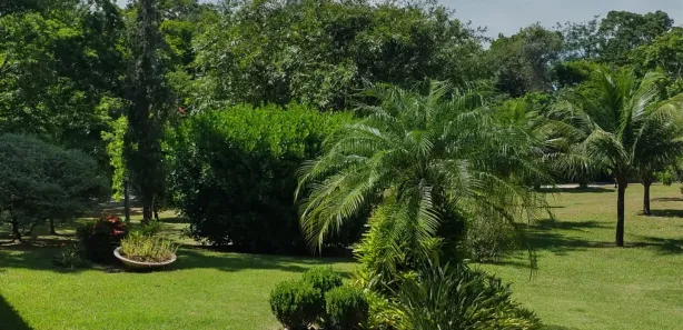 Fazenda / Sítio / Chácara com 3 Quartos à venda, 10500m² no , Cachoeiras de Macacu