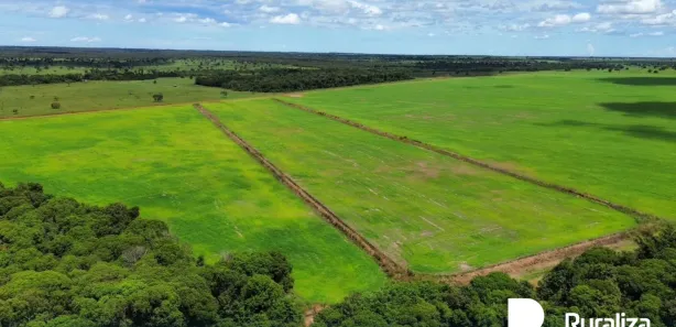 Fazenda / Sítio / Chácara à venda, 2100m² no , Pium