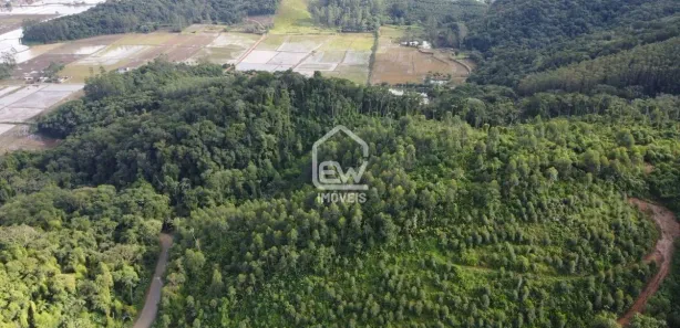 Fazenda / Sítio / Chácara com 1 Quarto à venda, 117526m² no , Massaranduba